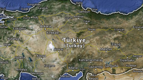 Amnistia Internacional denuncia existência de mortos em manifestações na Turquia