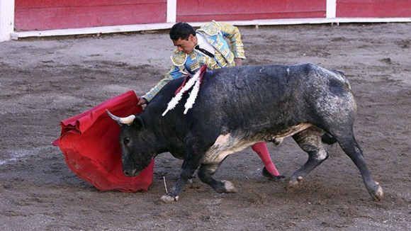 Tribunal confirma corrida de touros de Agosto em Viana