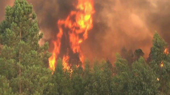 Cerca de 9.500 fogos e perto de 31.000 hectares de área ardida até 15 de Agosto