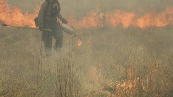 Mais de 1000 bombeiros combatem os 16 maiores fogos no continente