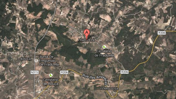 Chamas ameaçam aldeia de Fradizela - Mirandela