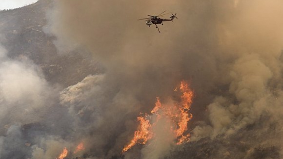 Incêndios florestais provocam maior área ardida dos últimos oito anos