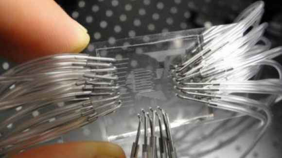 Criado nano-chip capaz de detectar cancro em fase precoce