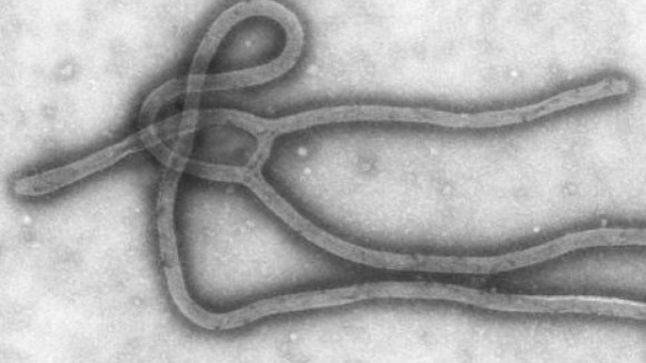 ONU pede 800 milhões de euros para travar epidemia do Ébola