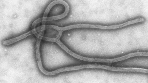 OFICIAL: o Ébola chegou à Europa