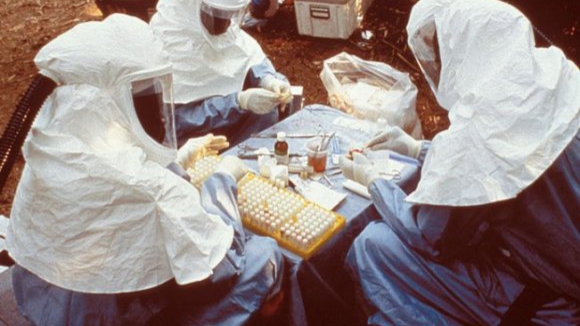 Responsável da OMS admite que Ébola possa ser controlada nos próximos três meses