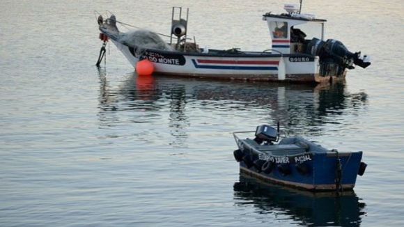 Pescadores do Norte sem alternativa à sardinha para embarcações do cerco