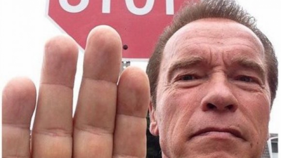 Schwarzenegger, Gervais e Kimmel 'chegam-se à frente' contra a morte do leão Cecil