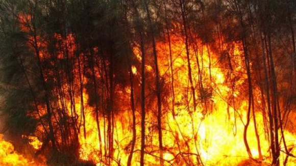 Portugal com condições meteorológicas favoráveis a incêndios