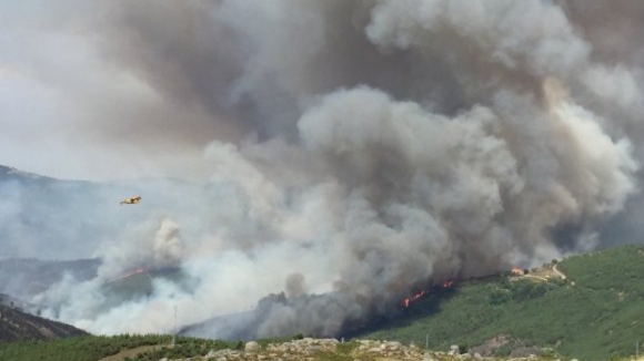 Agosto regista 173 fogos por dia