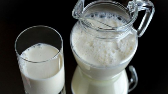Grupos empresariais chineses visitam sector do leite português
