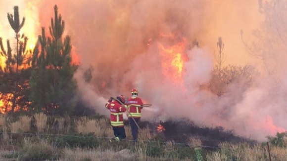 Quase 400 bombeiros combatem três fogos na Guarda, Coimbra e Aveiro