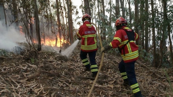 Mais de 200 bombeiros combatem fogo em Arouca que ameaça casas isoladas