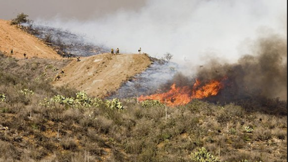 Governo ativa conta de emergência para ajudar produtores afetados pelos incêndios