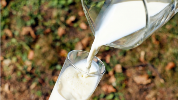 Bruxelas anuncia apoio ao setor leiteiro no valor de 500 milhões