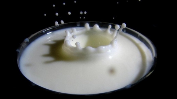Ministro de Agricultura garante apoios aos produtores de leite