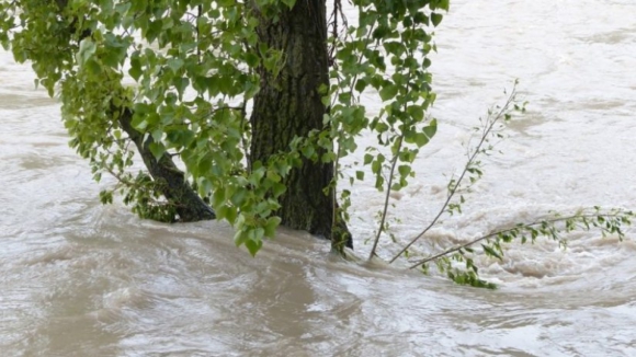 Proteção Civil alerta para perigo de inundações e cheias para este fim-de-semana