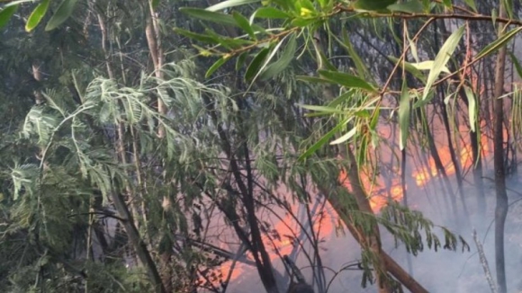 Incêndio florestal em Paredes ameaça habitações