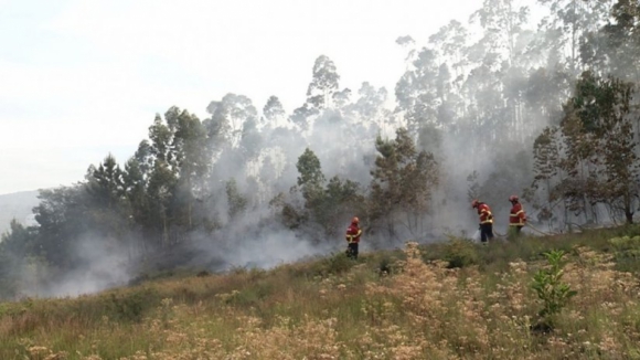 Incêndio florestal na Trofa chega a ameaçar casas