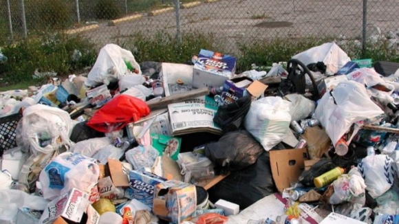 Resultado de imagem para Meia tonelada de lixo retirada da Ria na Murtosa