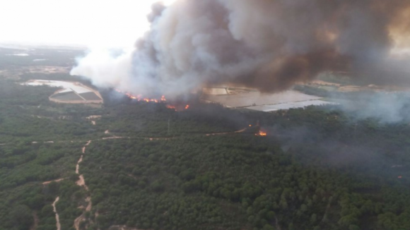 2.000 pessoas retiradas de incêndio no Sul de Espanha