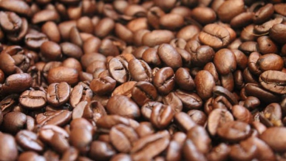 Alterações climáticas colocam em perigo a produção mundial de café