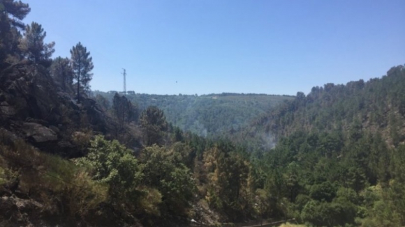 Dominado incêndio em Alijó, Vila Real