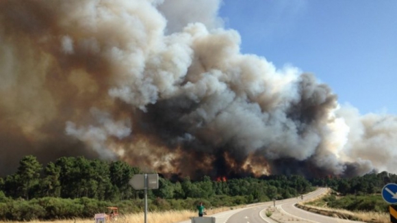 Incêndio em Alijó está a "queimar com bastante intensidade" e aproxima-se de adega