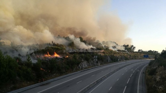 Autoestrada A25 cortada entre Chãs de Tavares e Fornos de Algodres devido a incêndio