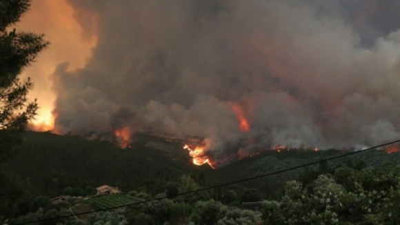 Governo reconhece fogos de junho como catástrofe natural e ativa apoio de 10 ME