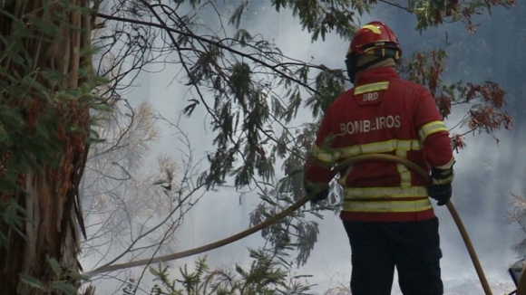 A25 cortada nos dois sentidos entre Viseu e Mangualde devido aos incêndios
