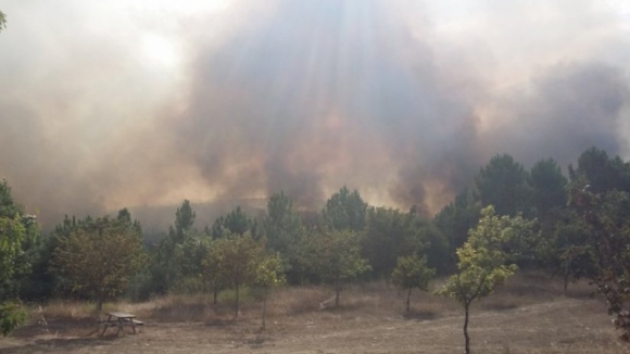 Incêndio em Paredes está a ameaçar casas e parar A41