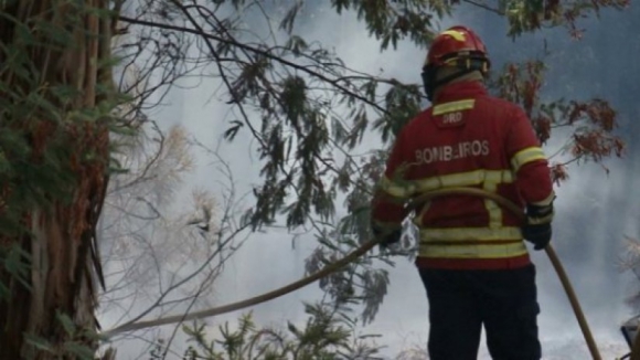 Um avião e 82 operacionais combatem fogo em Miranda do Douro, Bragança