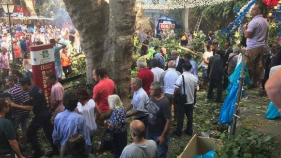 Queda de árvore causa 12 mortos e 50 feridos em romaria na Madeira