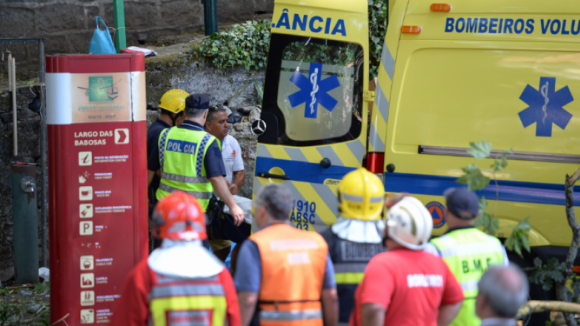 Sete pessoas continuam internadas devido à queda de árvore na Madeira