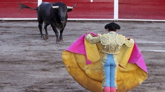Câmara de Viana do Castelo indeferiu pedido de instalação de arena para tourada