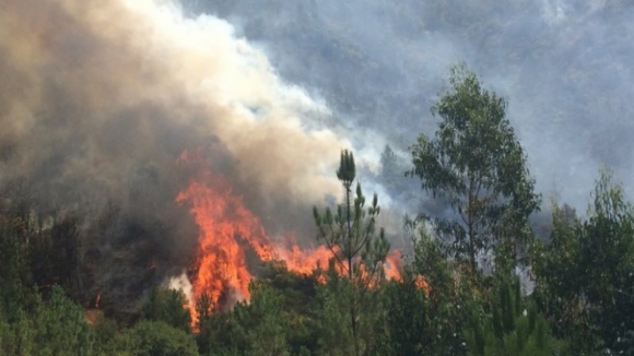 Mação e Gavião continuam a ser os incêndios mais preocupantes