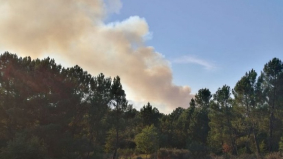 Fogo em Vila Nova de Paiva, Viseu, exige intervenção de mais de 100 bombeiros