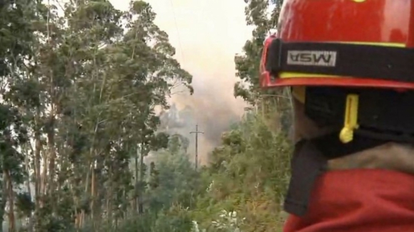 Fogo de Oleiros já destruiu 10 mil hectares de floresta