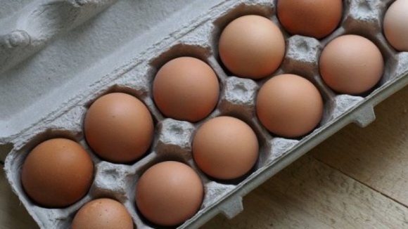 Portugal afetado por crise dos ovos contaminados com pesticida