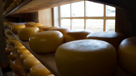 ASAE apreende seis toneladas de queijo que continha água oxigenada