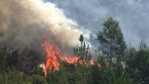 Incêndio em Vila Pouca de Aguiar "praticamente dominado"