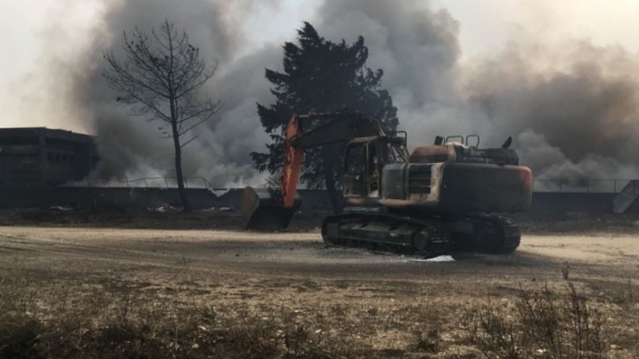 Chamas queimaram este ano mais de 316.000 hectares