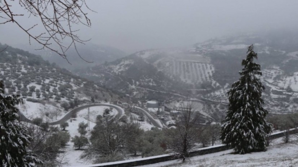 Seis escolas fechadas em Bragança devido à neve