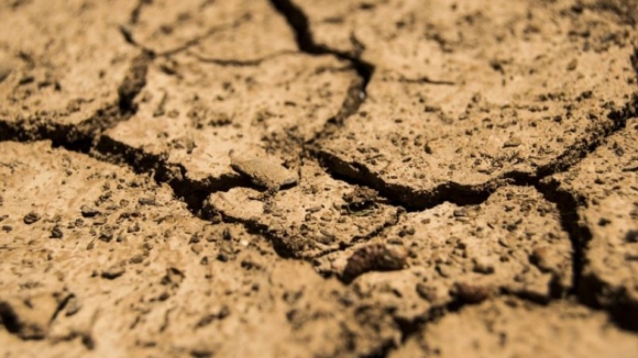 Produtores do nordeste algarvio estão endividados e reclamam medidas para enfrentar a seca