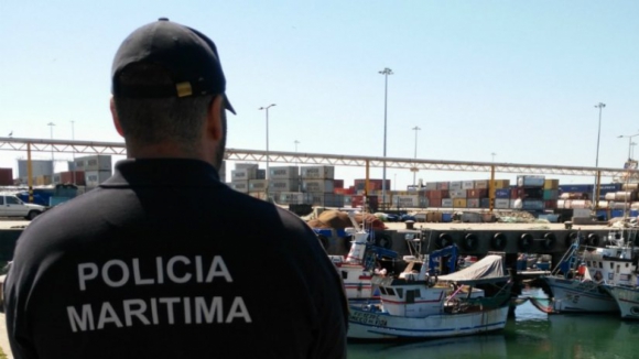Polícia Marítima apreende 245 kg de peixe ilegal no Porto de Pesca de Leixões