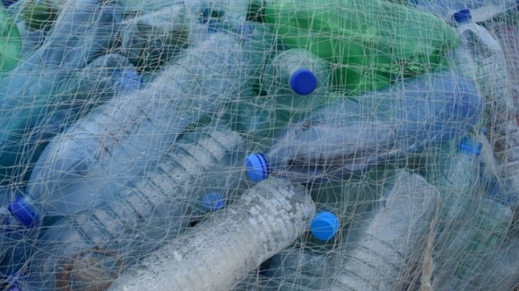 Estudo mostra que solvente usado no fabrico de plásticos pode causar cancro