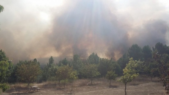 Mais de 30 concelhos estão este sábado em risco máximo de incêndio