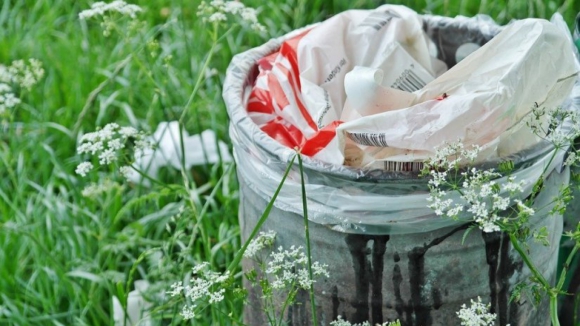 Nova Zelândia planeia proibir sacos plásticos até julho de 2019