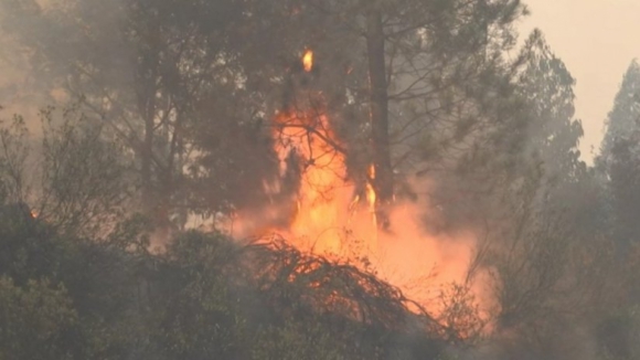 Dois fogos em Vila Verde mobilizam quase 200 homens e quatro meios aéreos